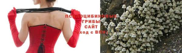 MDMA Premium VHQ Заволжье